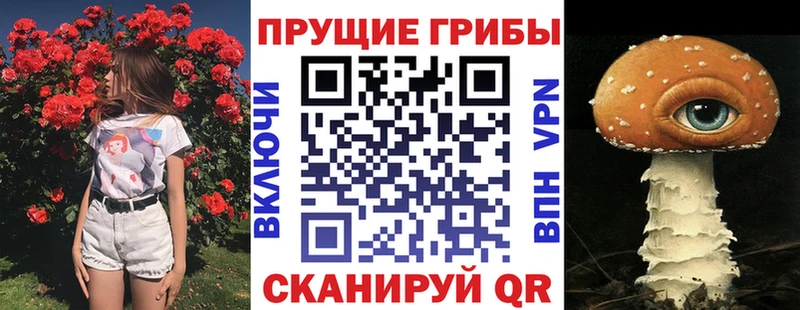 kraken зеркало  Ядрин  Галлюциногенные грибы Magic Shrooms 